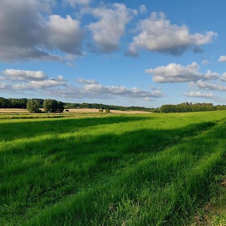 Ferienwohnung Malente Zewnętrze zdjęcie